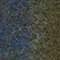 TREL(トレル) カバーリングソファ 2.5シーター - Image 100